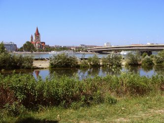 Tonava kaunoinen