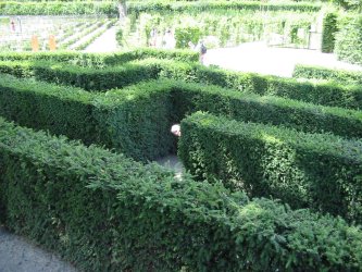 Pensaslabyrintti!