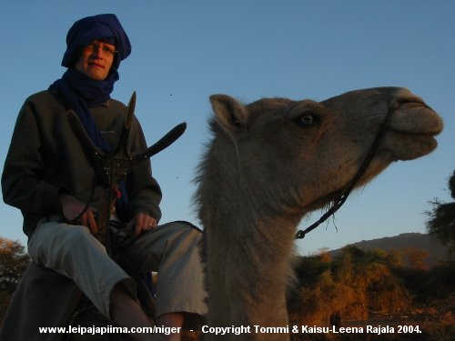 Tommi ja kameli