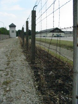 Dachaun aitaa